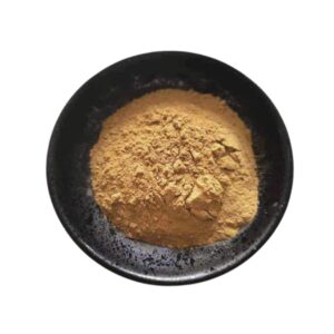 Salvia Officinalis Extract Powder